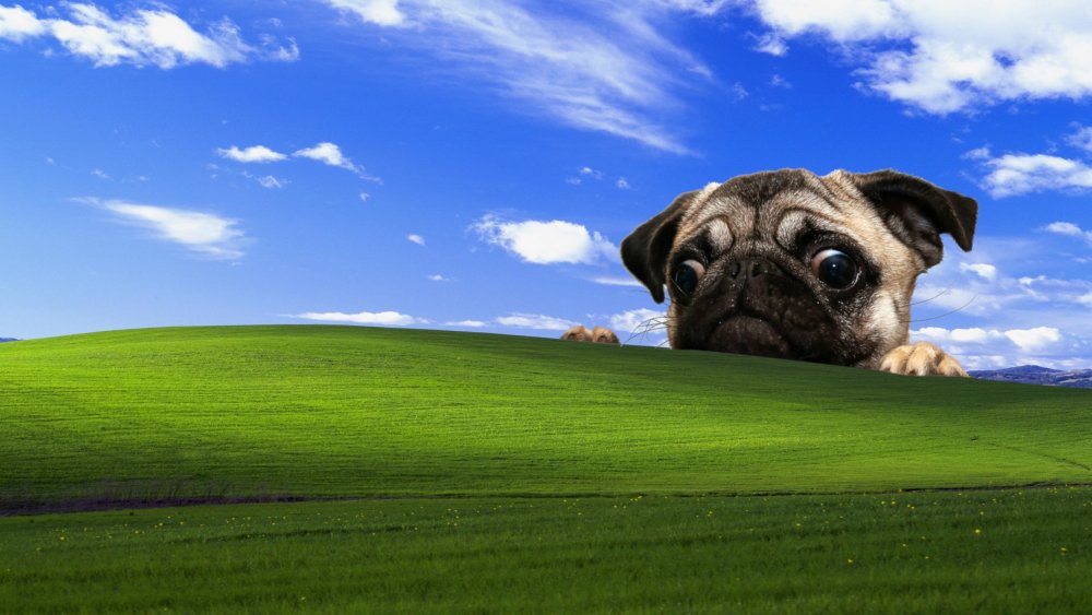 Картинки на рабочий стол