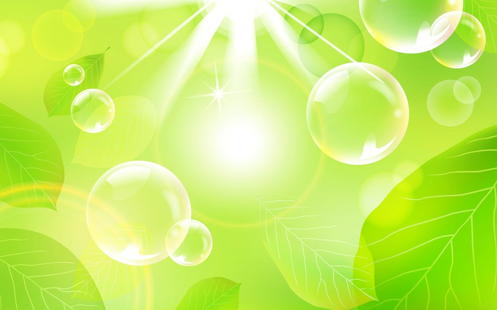 Салатовый фон