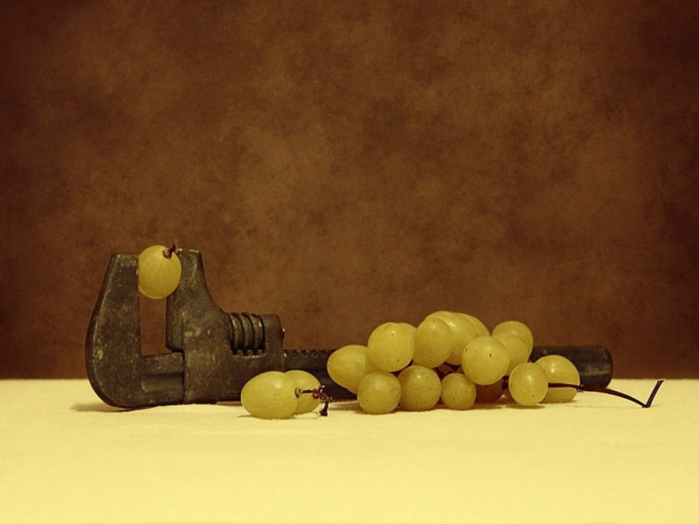 Креативный натюрморт