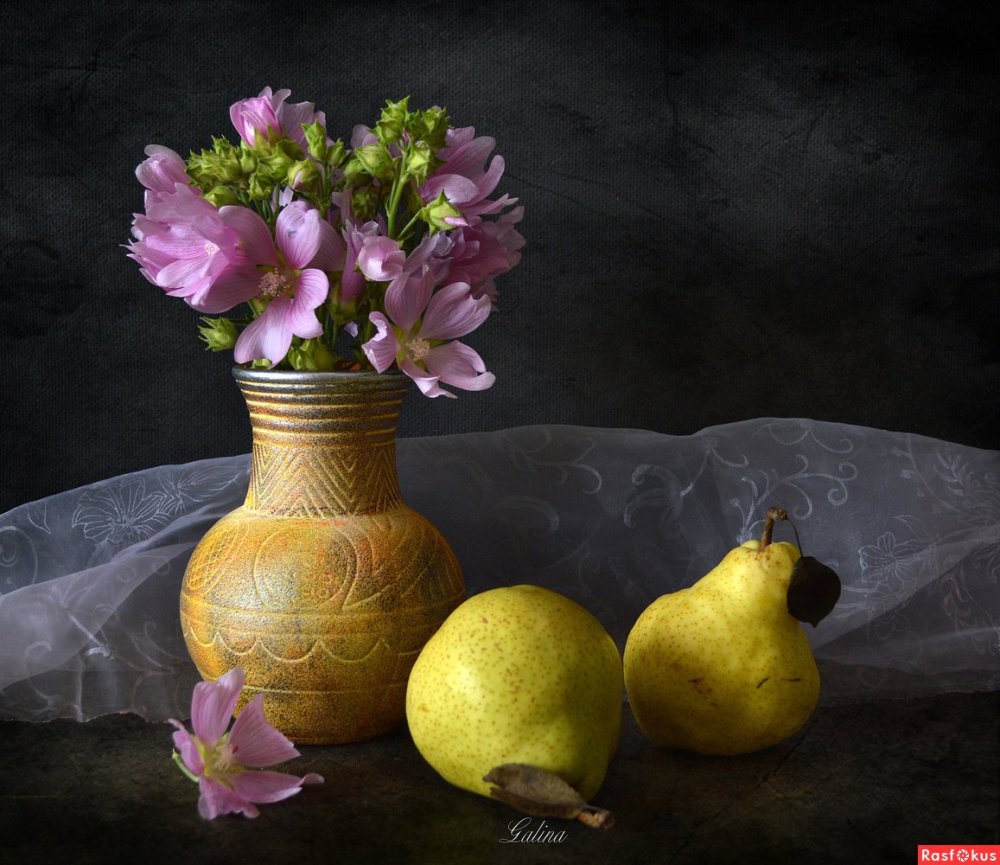 Постановочный натюрморт