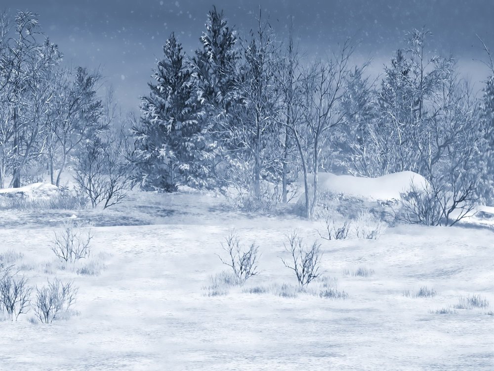 Сказочная зимняя Поляна