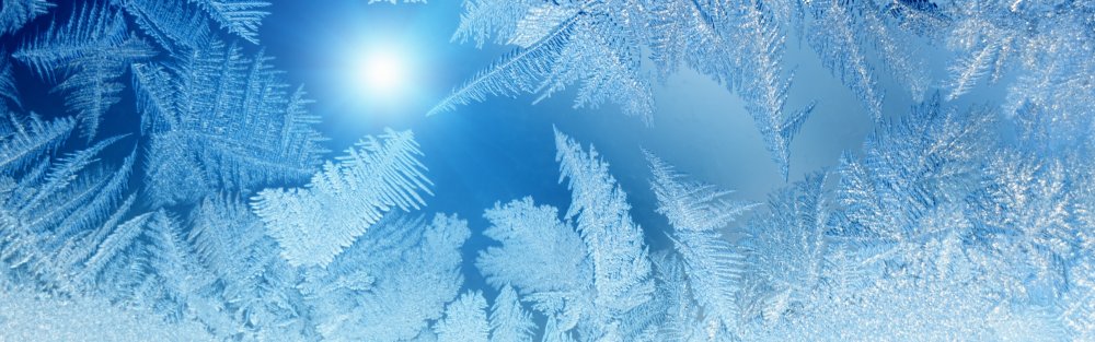 Снежный лес