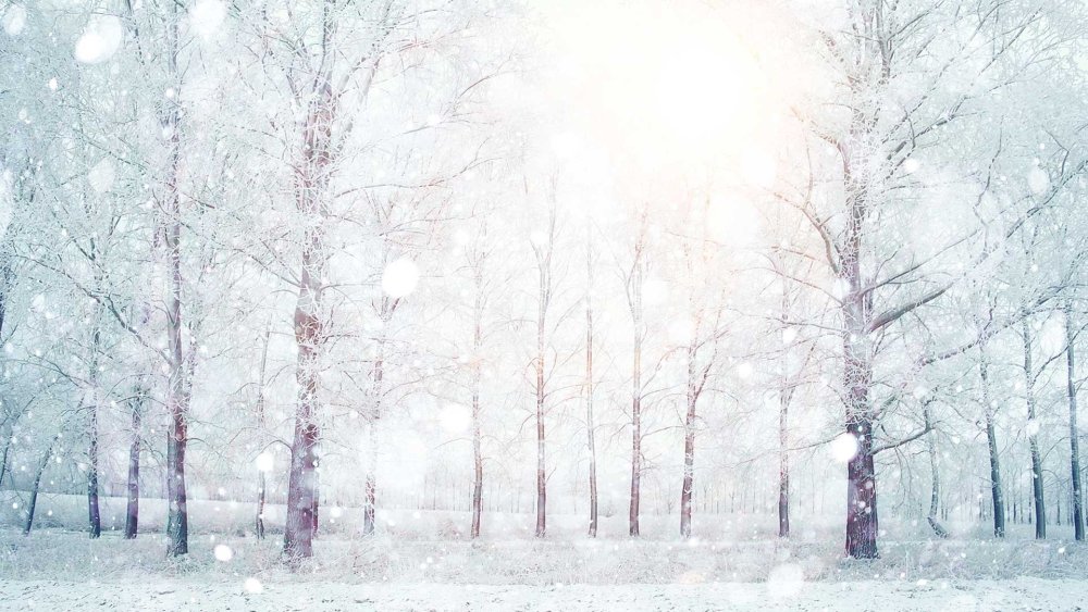 Зимний фон для шапки