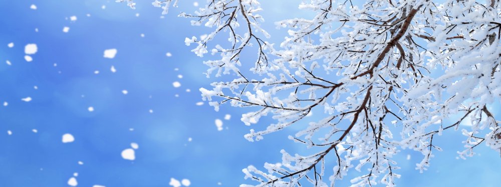 Сказочный зимний фон