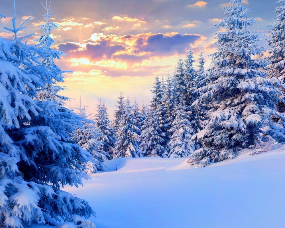 Зимний пейзаж мультяшный