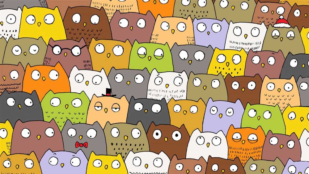 Найди кота среди сов