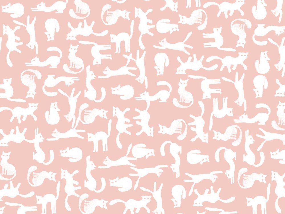 Кошачий паттерн