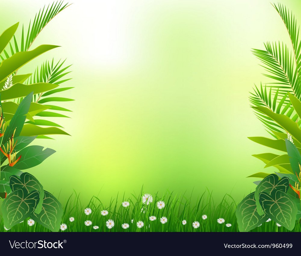 Фон для презентации джунгли