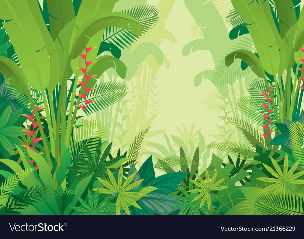 Подложка джунгли