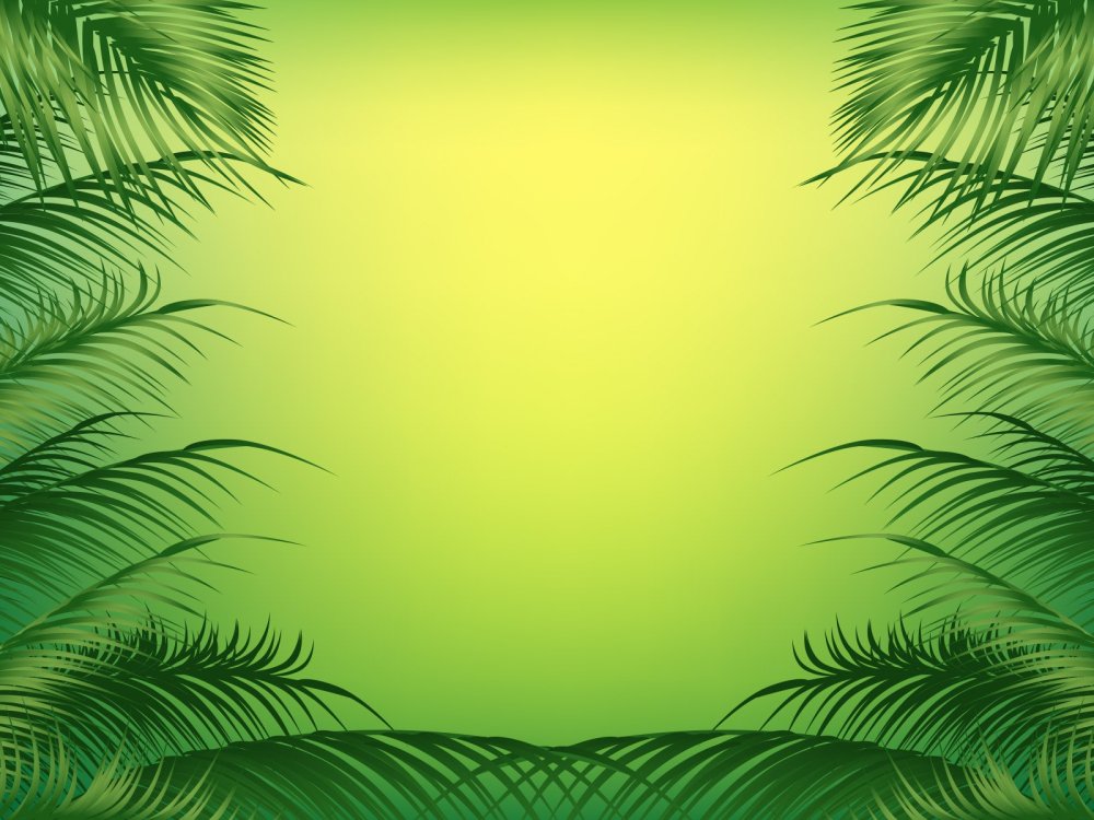 Фон для презентации джунгли