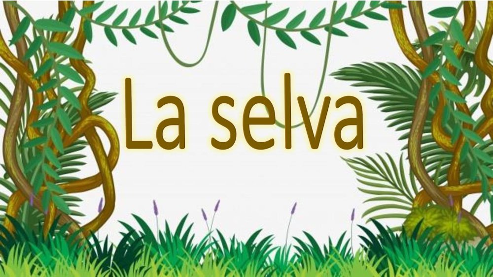 Фон джунгли на белом фоне