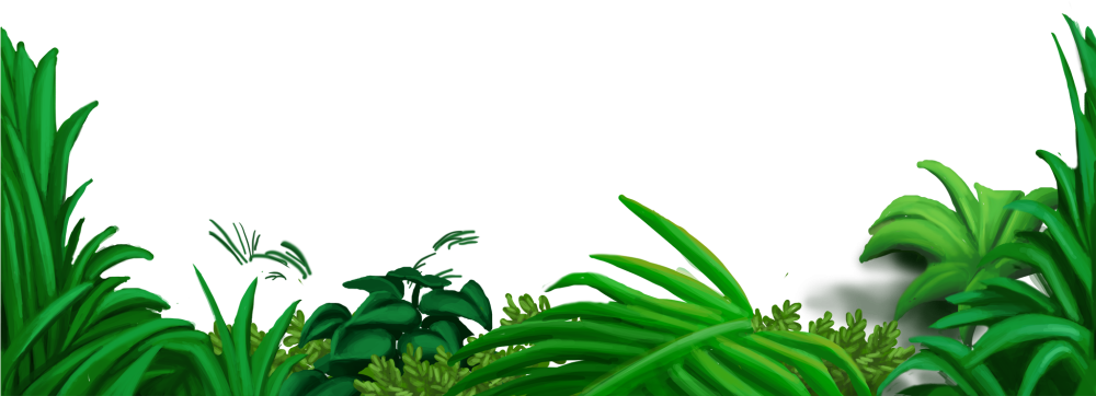 Джунгли вектор