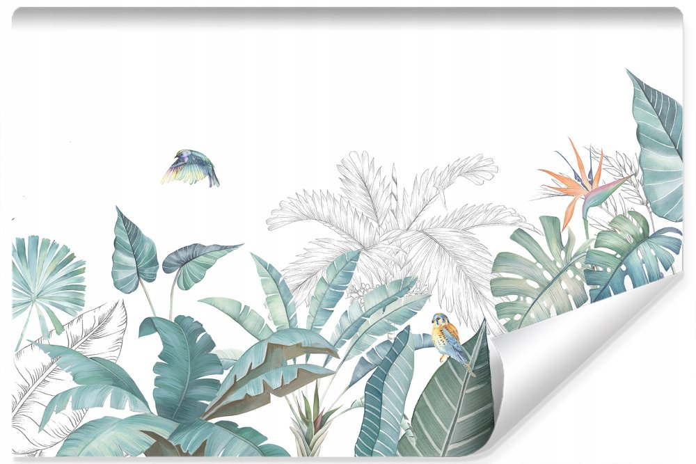 Тропические растения на белом фоне