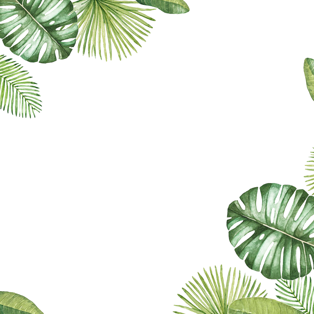 Тропические листья