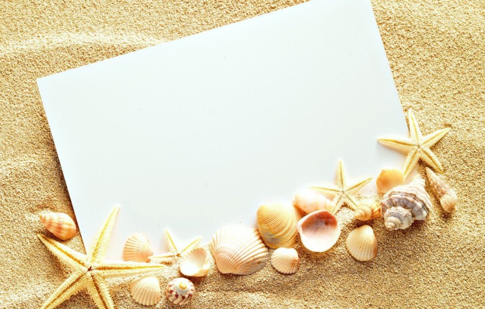 Фон ракушки