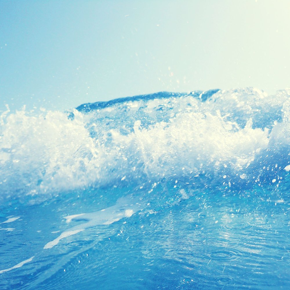 Свежесть моря