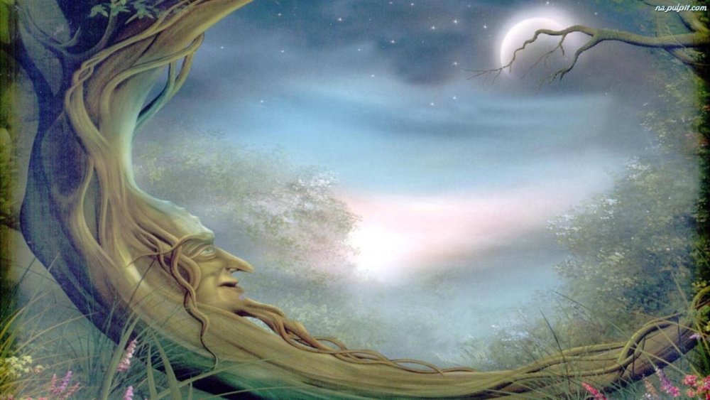 Сказка почему у месяца нет платья