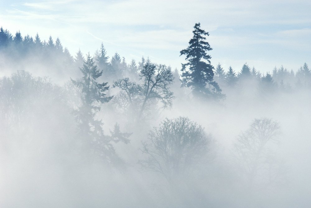 Природные явления туман