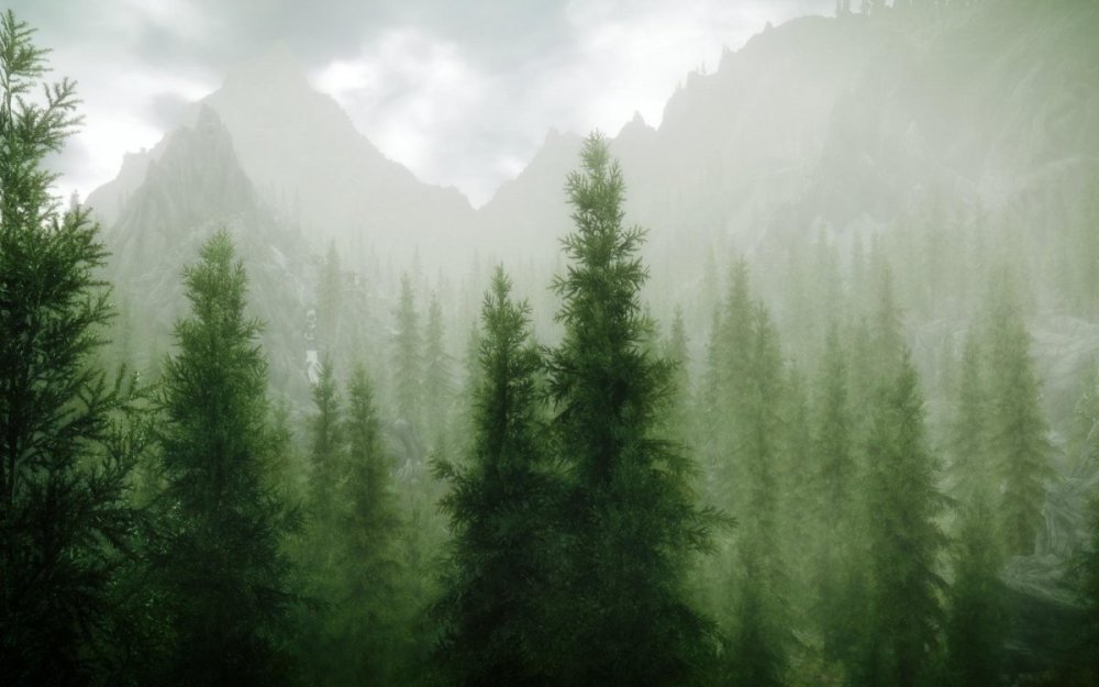 Скандинавский лес