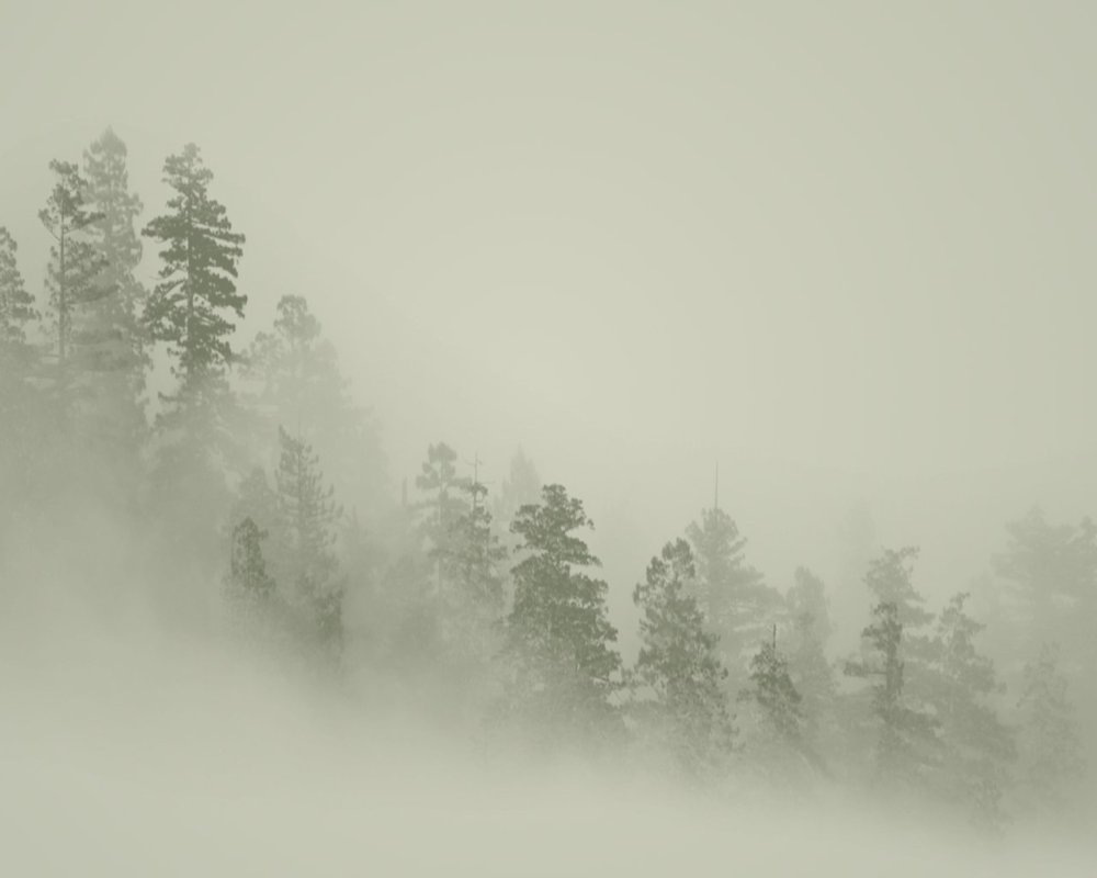 Фон для презентации туман