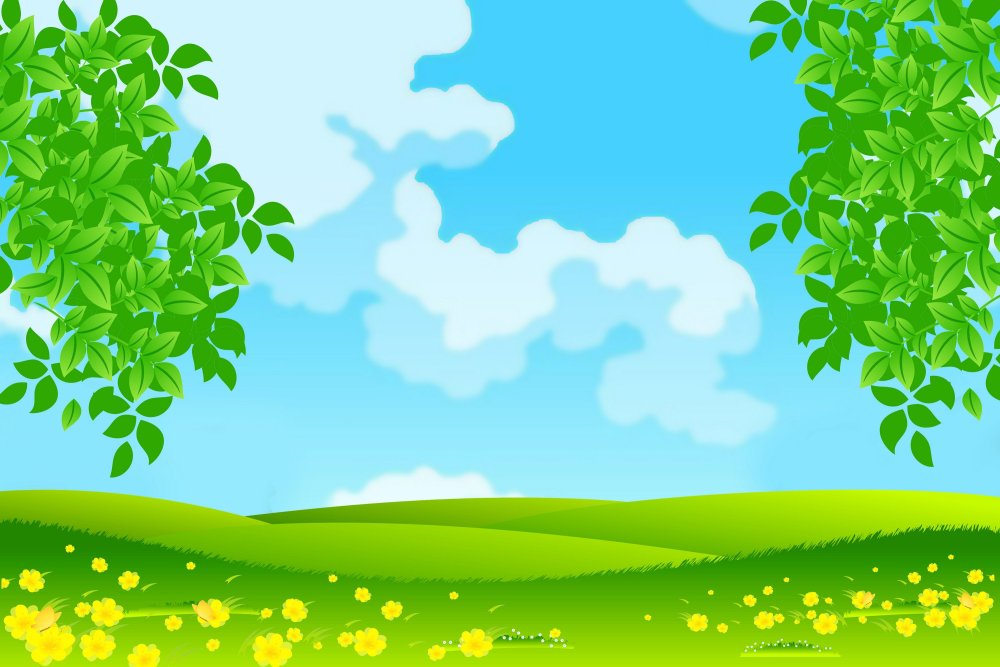 Мультяшная Поляна