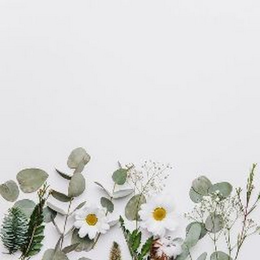 Фон для презентации ботаника