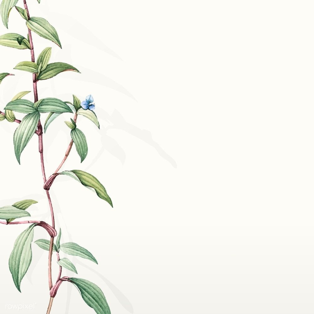 Фон для презентации ботаника