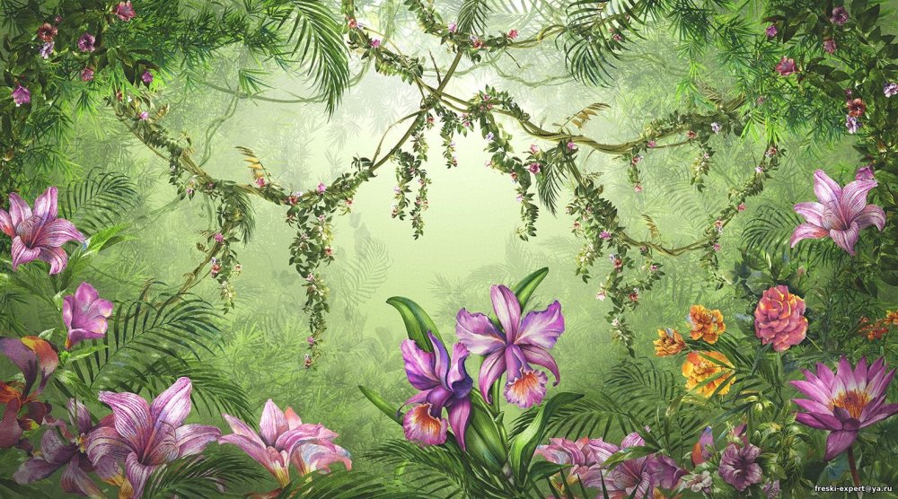 Обои на рабочий стол ботаника