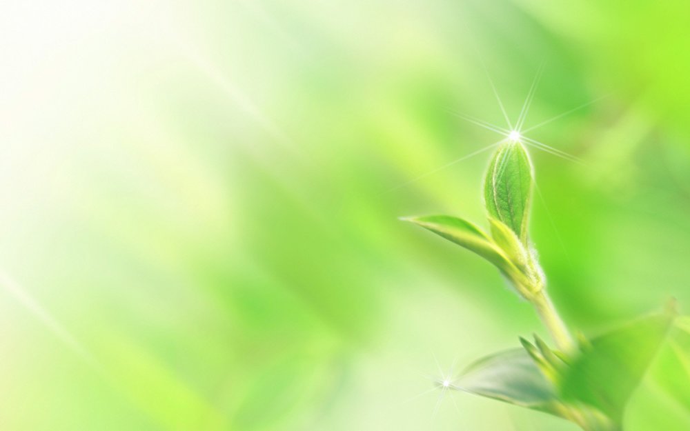 Спасибо за внимание биология