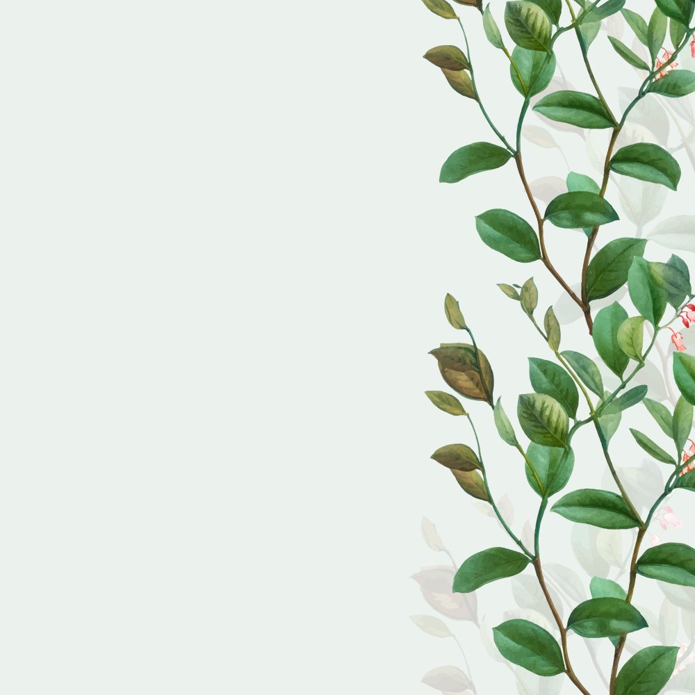 Фон ботаника для инстаграма