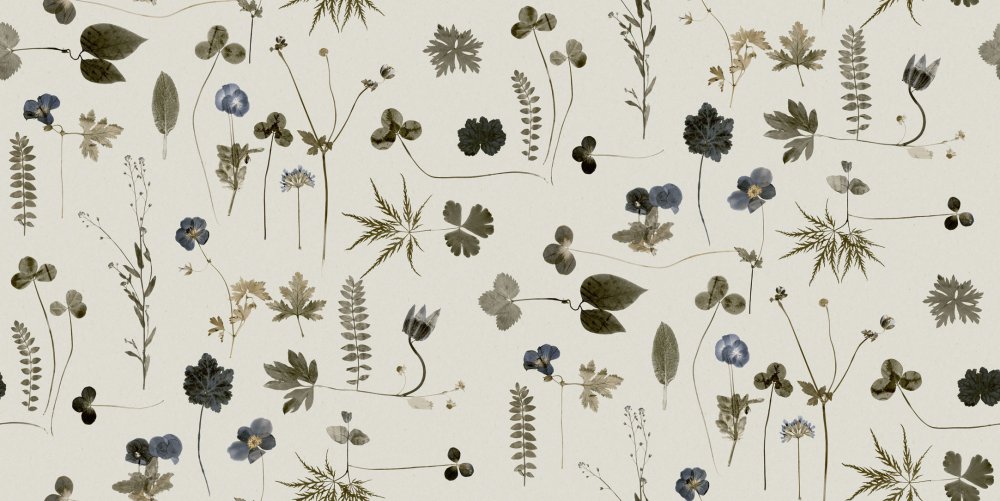 Обои Eco simplicity 3660