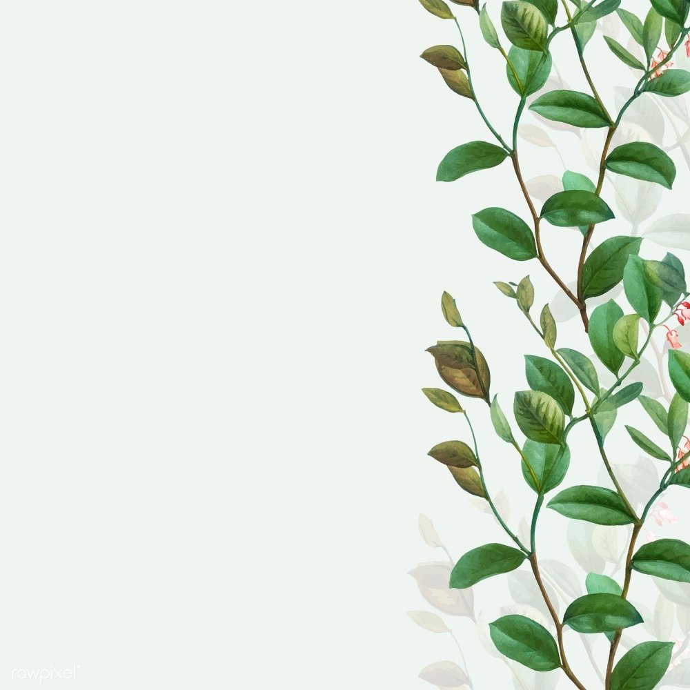 Фон ботаника