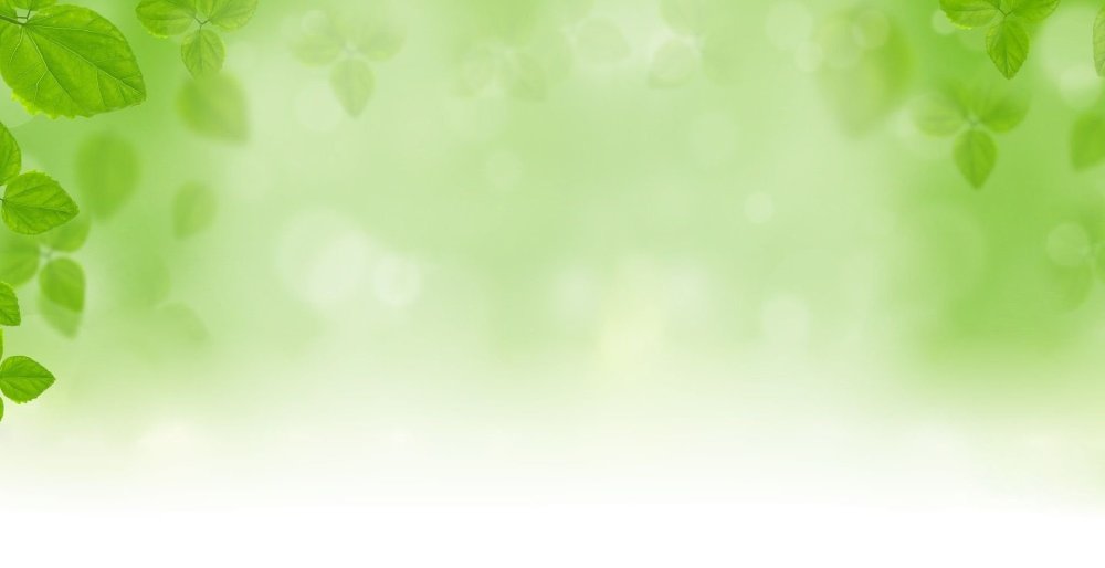 Фон для презентации растения