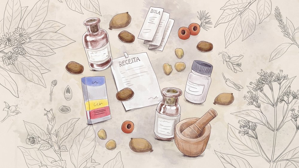 Ботаническая иллюстрация акварель