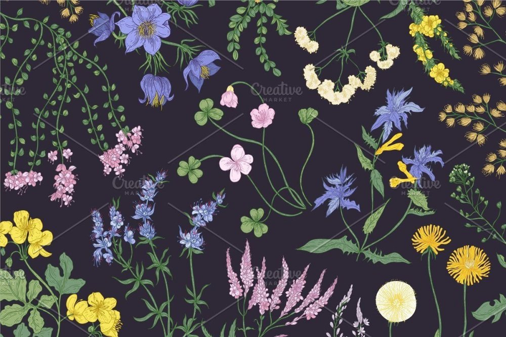 Подложки для слайдов