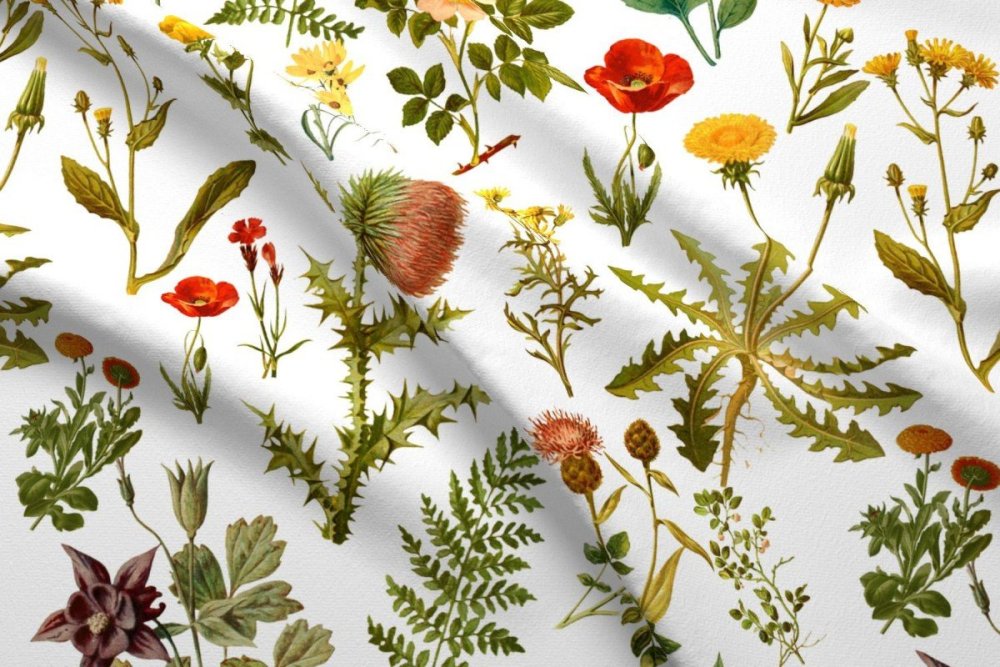 Ботанический принт Перри