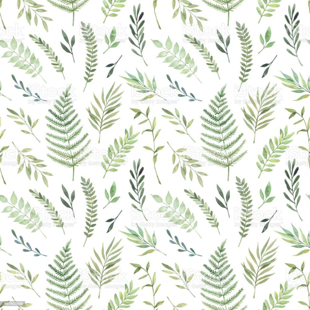 Коллекция Botanic Garden exotic