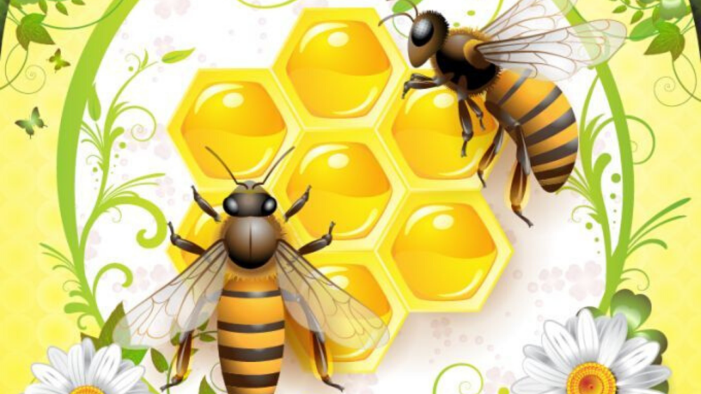 Пчела на прозрачном фоне