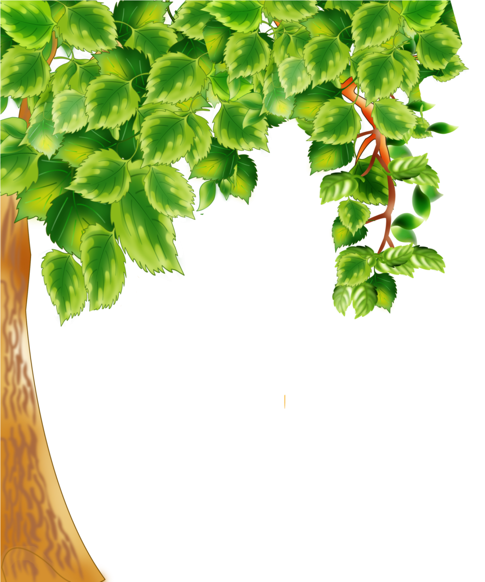 Рамки с деревьями для оформления текста