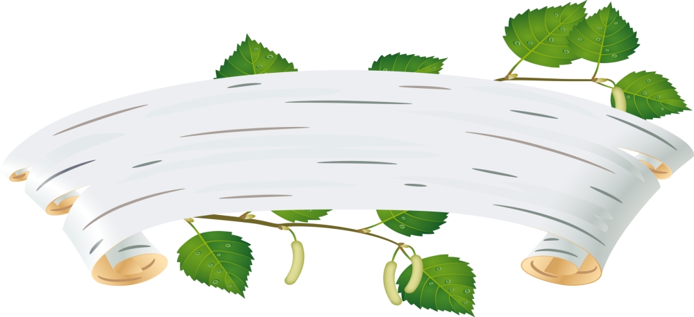 Березовая кора вектор