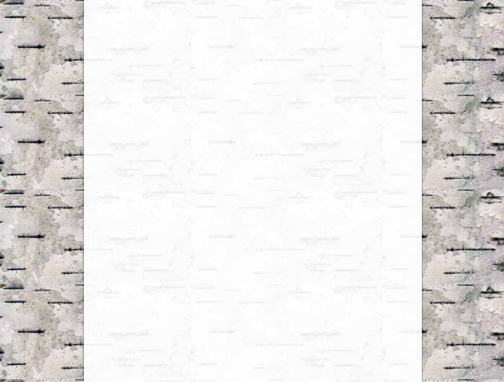 Береста фон