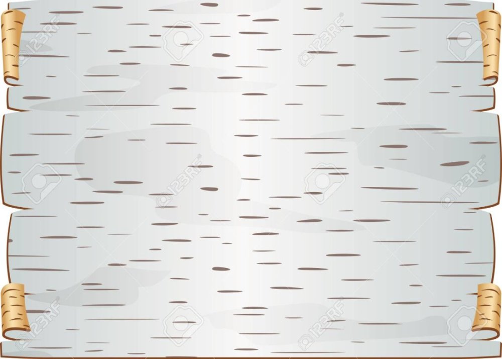 Березовая кора вектор