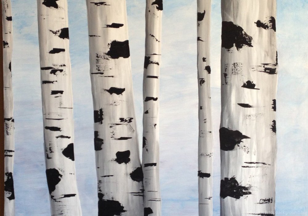 Березовый ствол