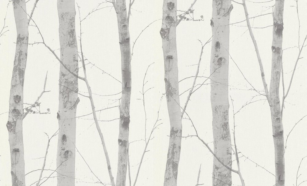 Erismann Paradiso 6305-10