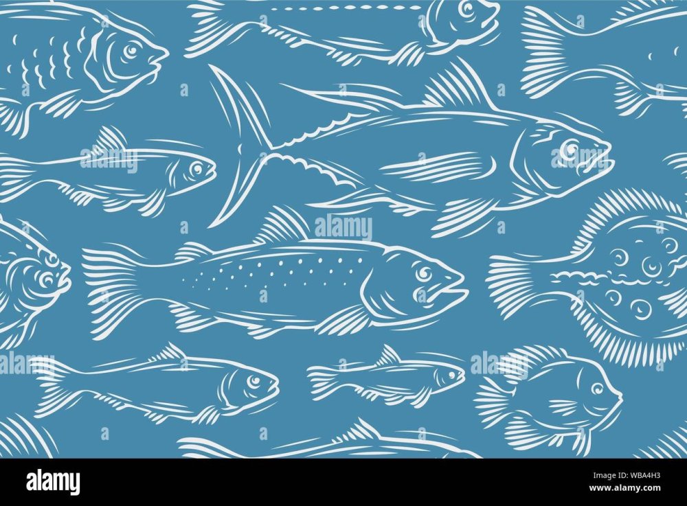 Подводный мир вектор для рыбного магазина