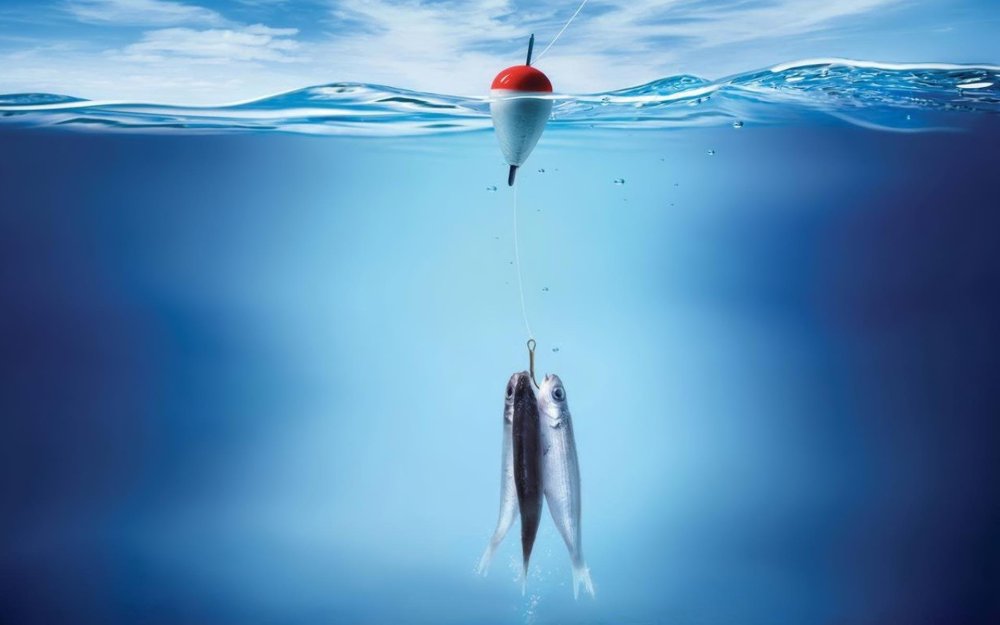 Фон рыбалка