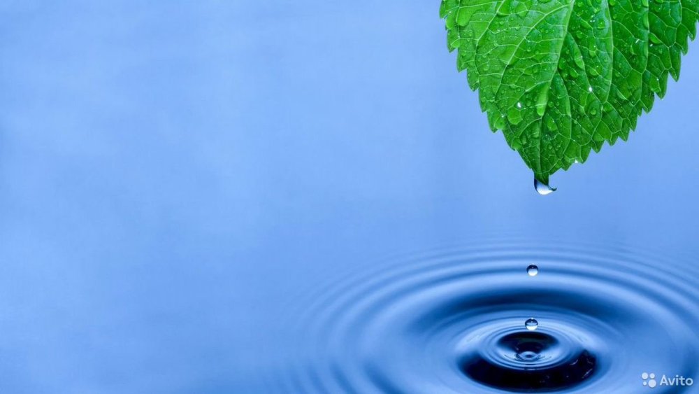 Капля воды на листе