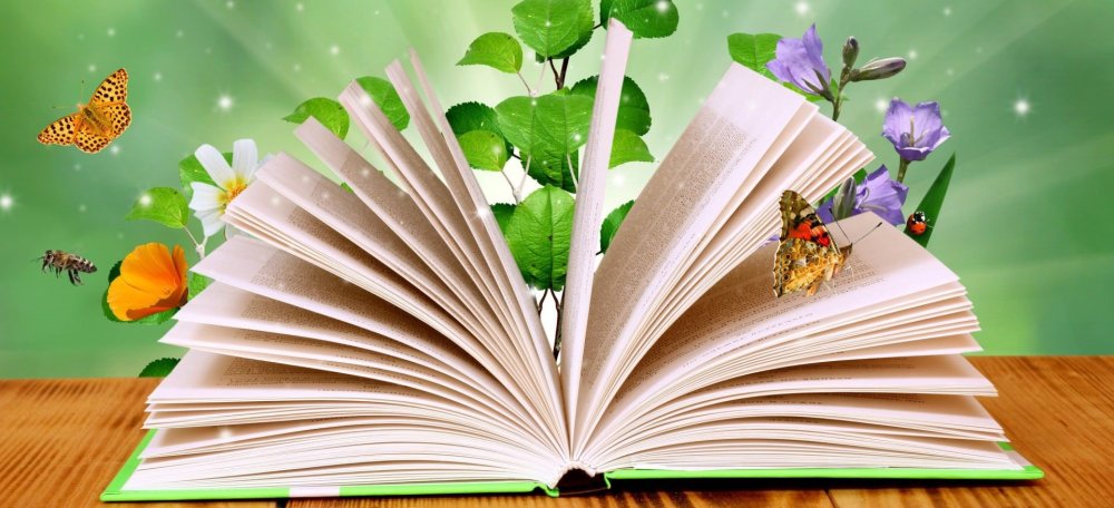 Волшебная книга