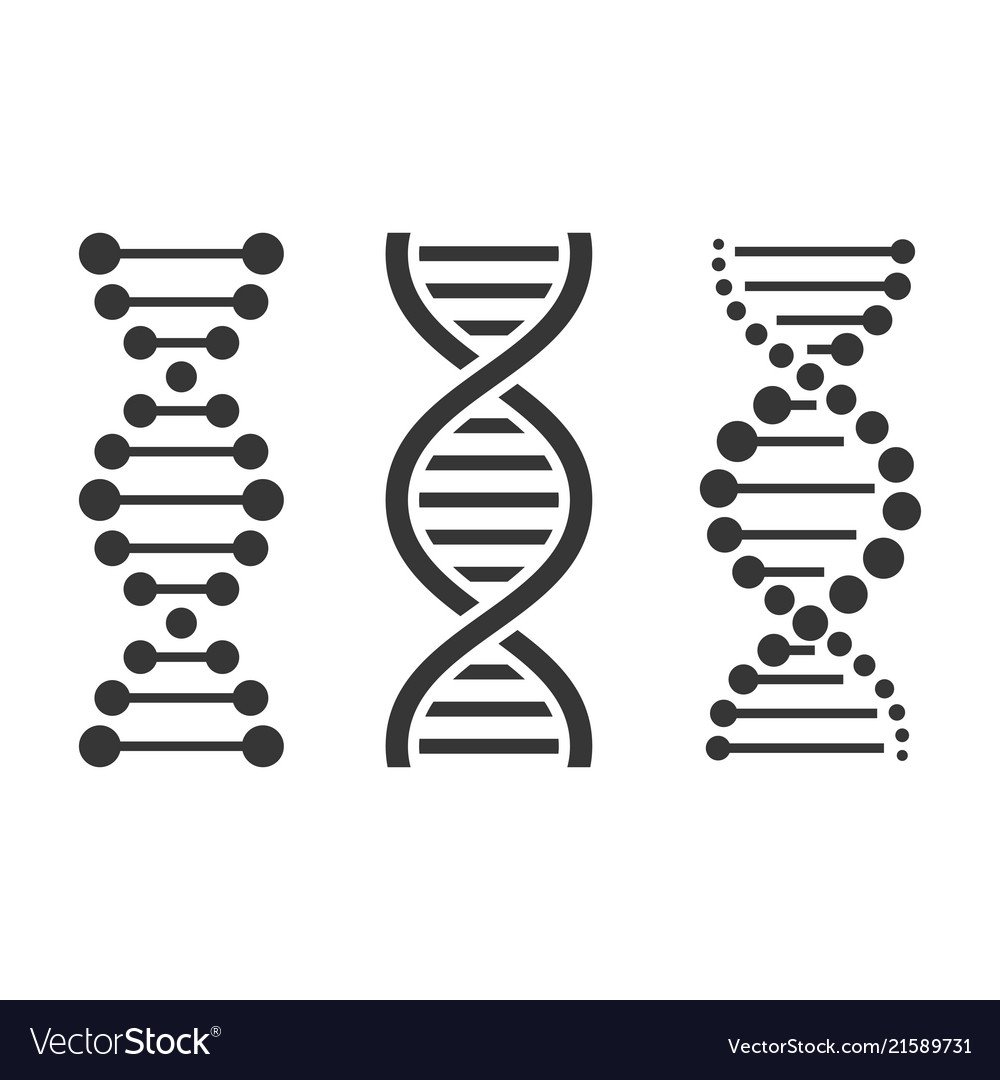 Спираль ДНК