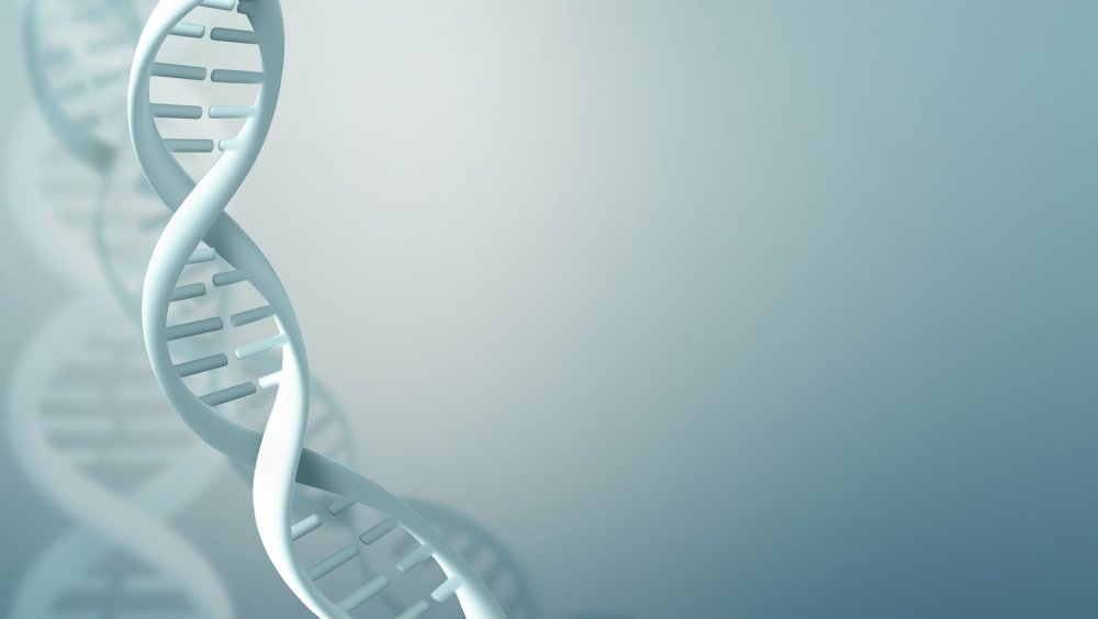 Фоны для презентаций генетике